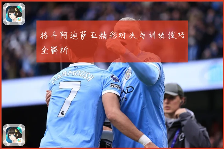 格斗阿迪萨亚精彩对决与训练技巧全解析