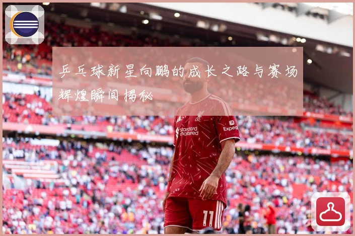 乒乓球新星向鹏的成长之路与赛场辉煌瞬间揭秘