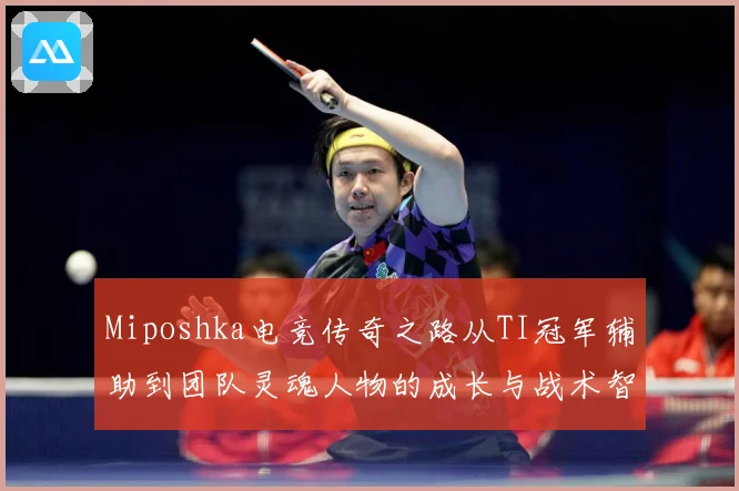 Miposhka电竞传奇之路从TI冠军辅助到团队灵魂人物的成长与战术智慧解析