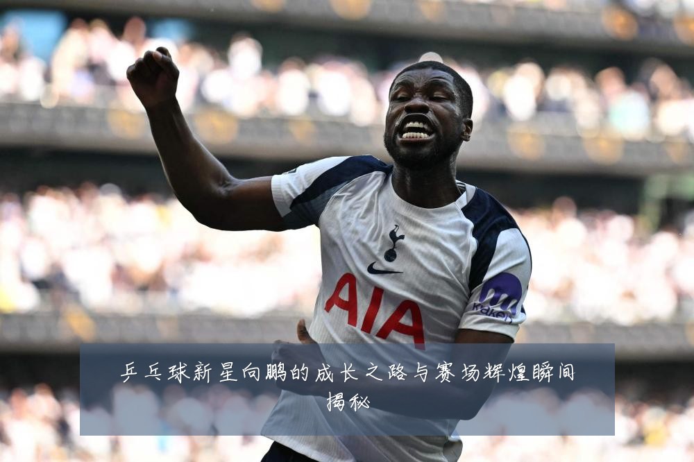 乒乓球新星向鹏的成长之路与赛场辉煌瞬间揭秘