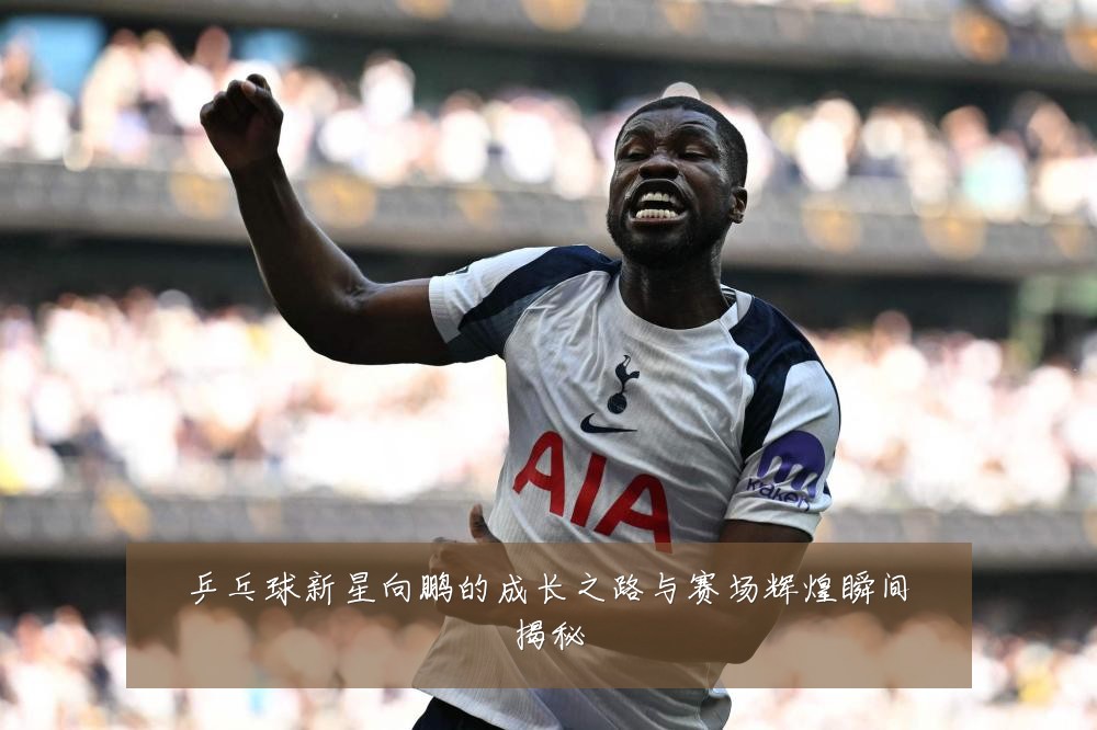 乒乓球新星向鹏的成长之路与赛场辉煌瞬间揭秘