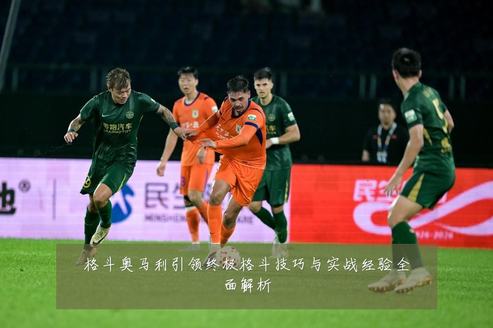 格斗奥马利引领终极格斗技巧与实战经验全面解析