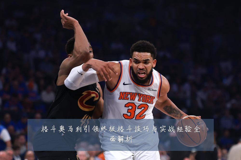 格斗奥马利引领终极格斗技巧与实战经验全面解析
